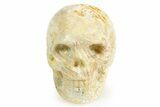 1.5" Polished Indonesian Fossil Coral Skulls - Photo 2